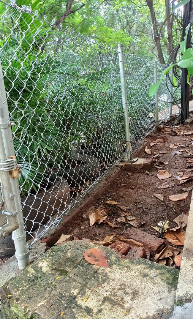 garden fence small